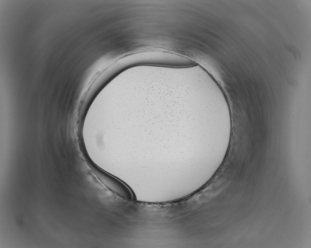 X0000111431104200908101111
