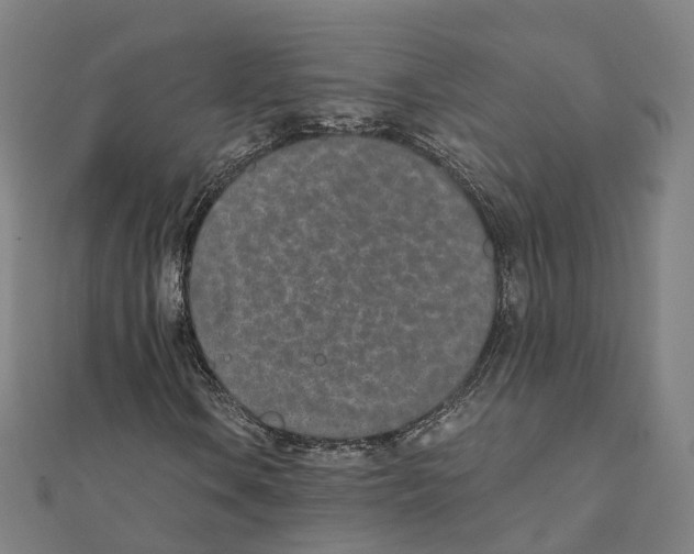 X0000111431106200908101110