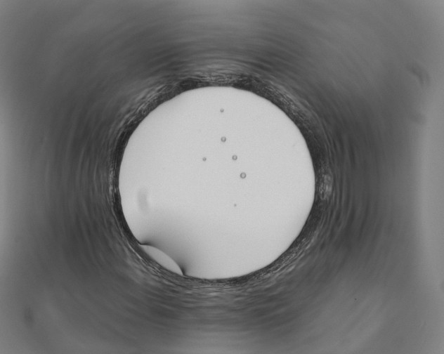 X0000111431108200908101110