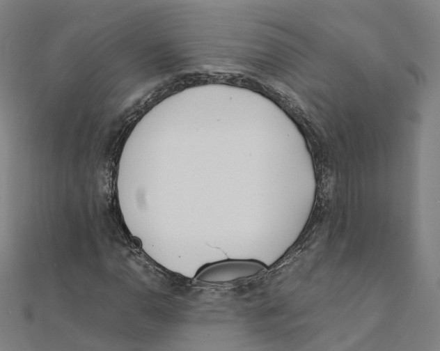 X0000111431110200908101110