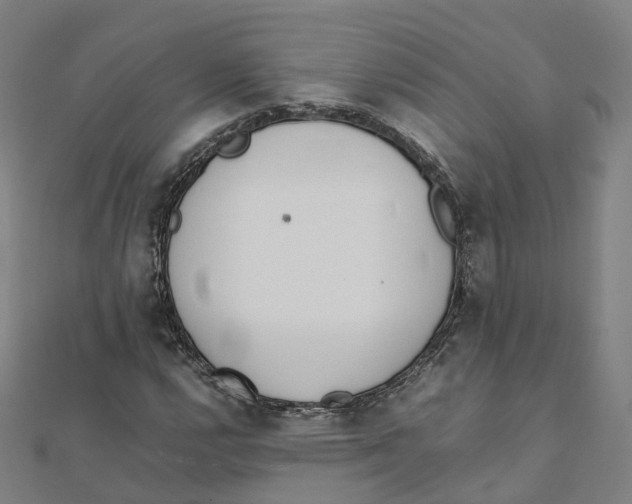 X0000111431112200908101110