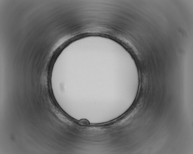 X0000111431114200908101110