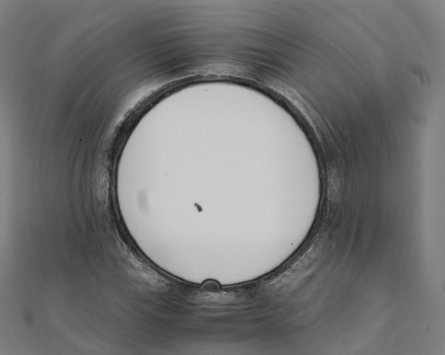 X0000111431115200908101110