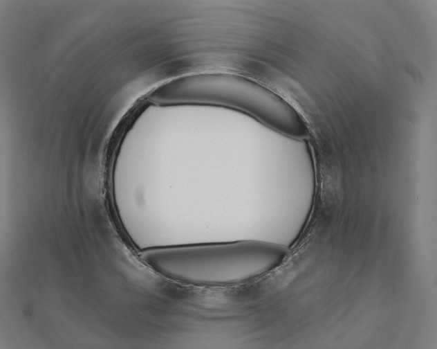 X0000111431116200908101110