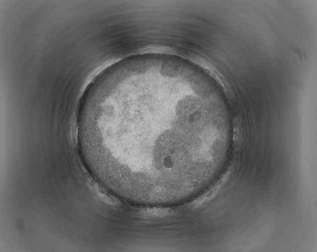 X0000111431117200908101110