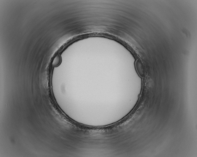 X0000111431118200908101110