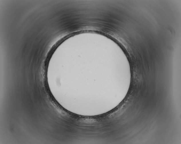 X0000111431119200908101110