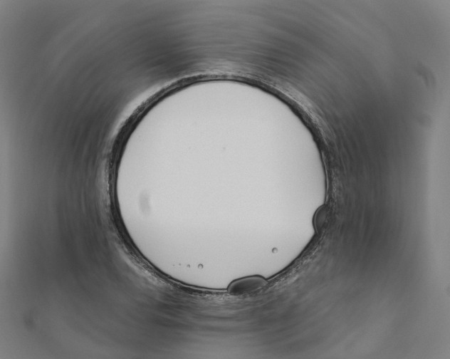 X0000111431120200908101110