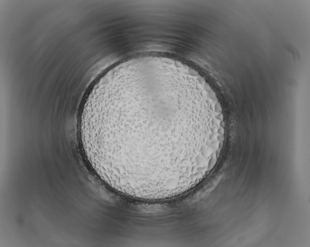 X0000111431121200908101110