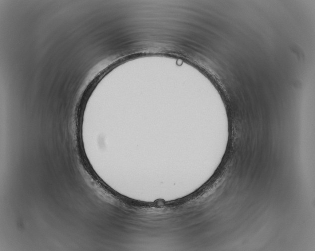 X0000111431122200908101110