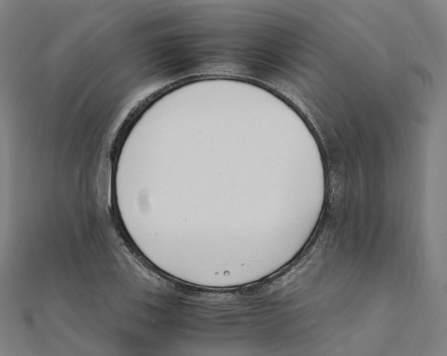 X0000111431123200908101110