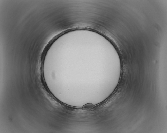X0000111431124200908101110