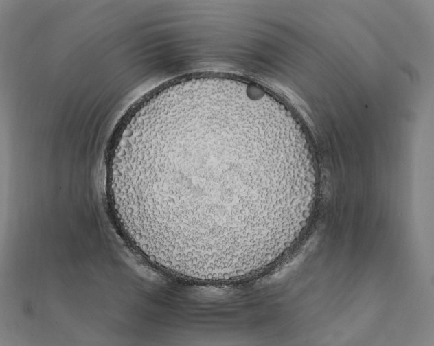 X0000111431125200908101110