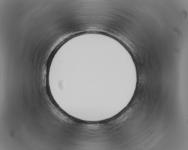 X0000111431126200908101110