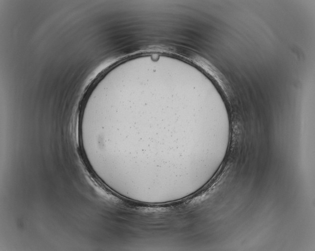 X0000111431127200908101110