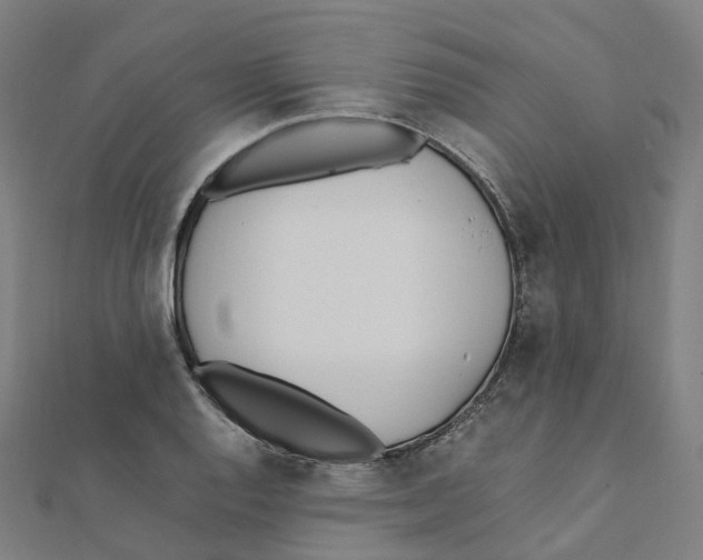 X0000111431128200908101110