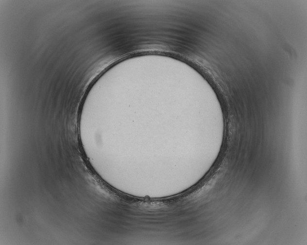 X0000111431129200908101110