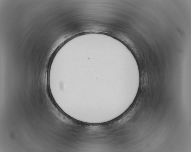 X0000111431130200908101110