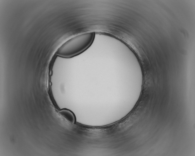 X0000111431132200908101110