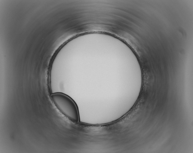 X0000111431134200908101110