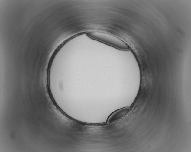 X0000111431136200908101110