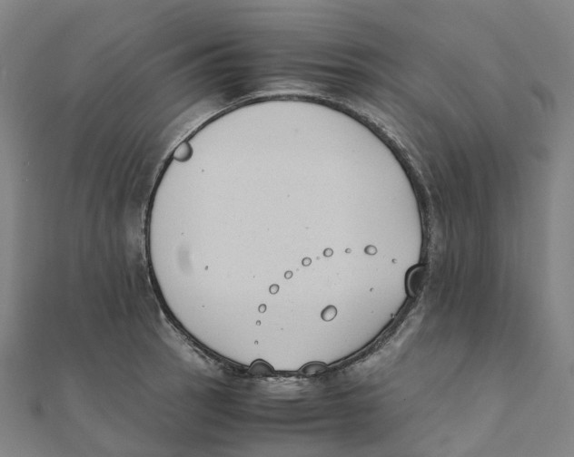 X0000111431137200908101110