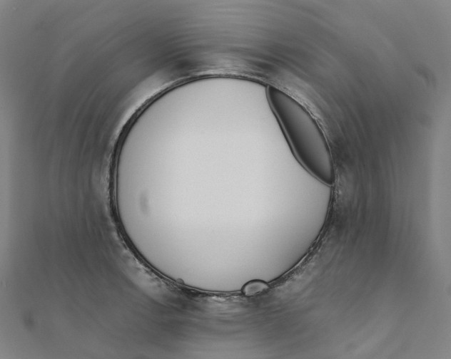 X0000111431138200908101110