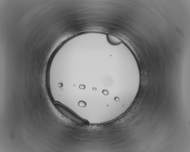 X0000111431139200908101110