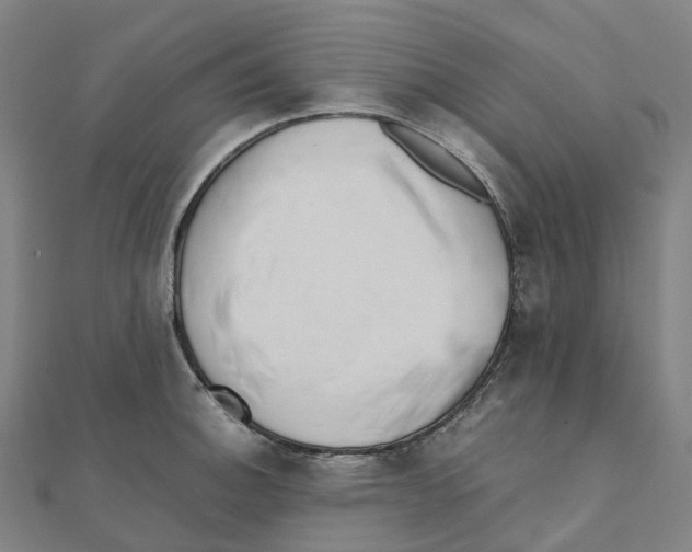 X0000111431140200908101111
