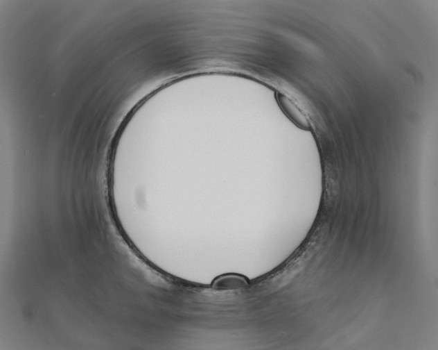 X0000111431142200908101111