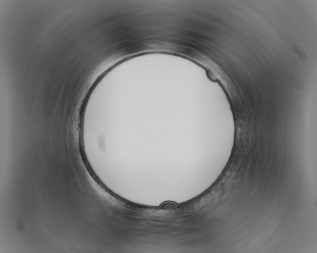 X0000111431143200908101111