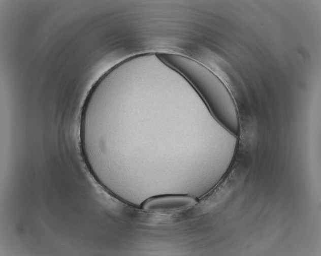 X0000111431144200908101111