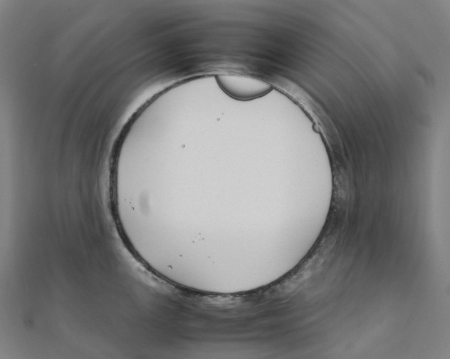 X0000111431147200908101111
