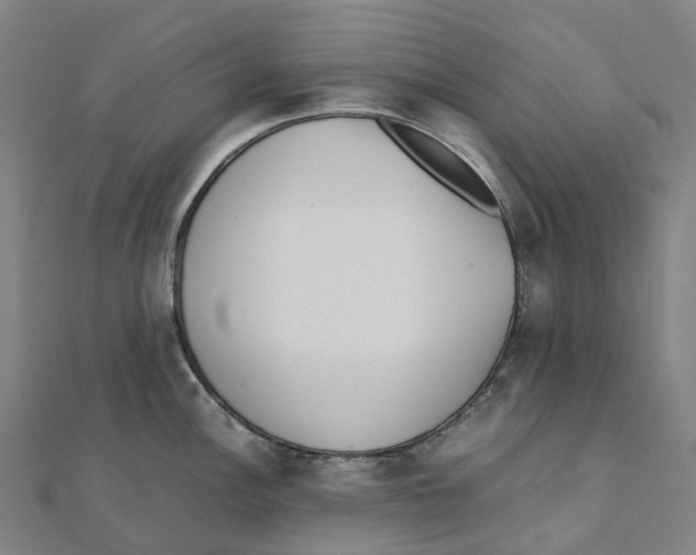 X0000111431148200908101111