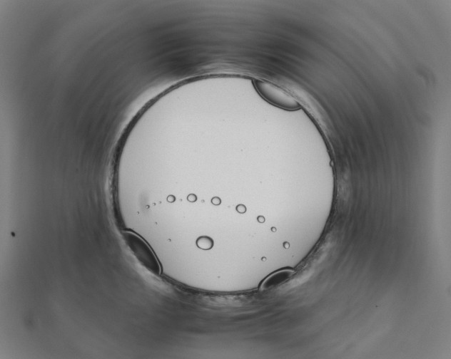 X0000111431149200908101111