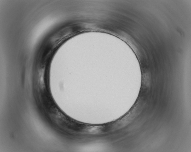X0000111431150200908101111