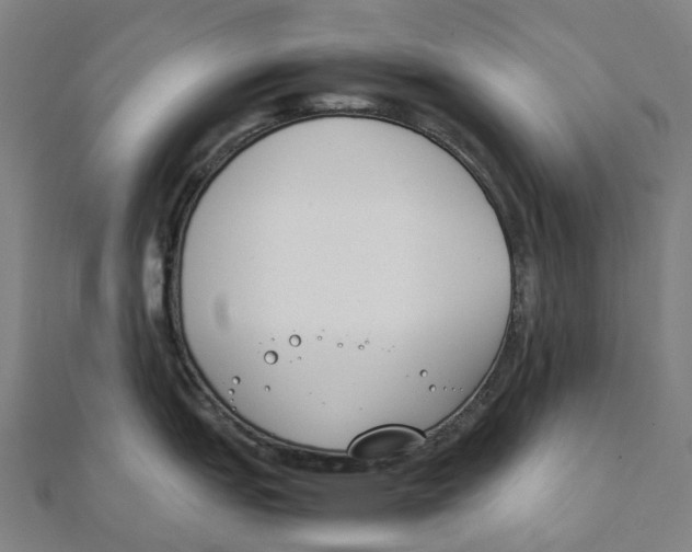 X0000111431151200908101111