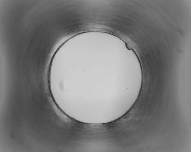 X0000111431152200908101111