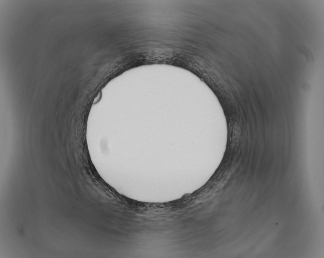 X0000111431153200908101110