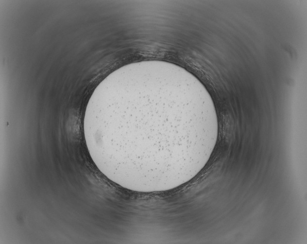 X0000111431154200908101110