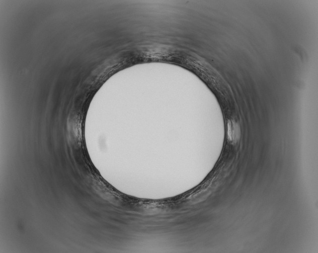 X0000111431155200908101110