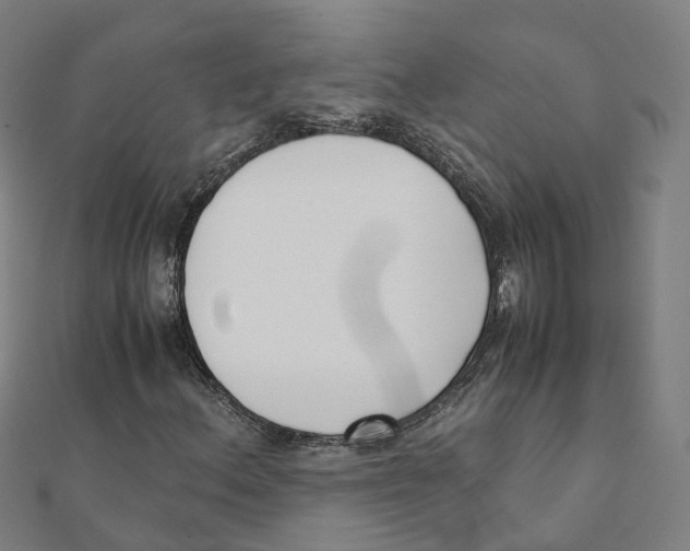 X0000111431156200908101110