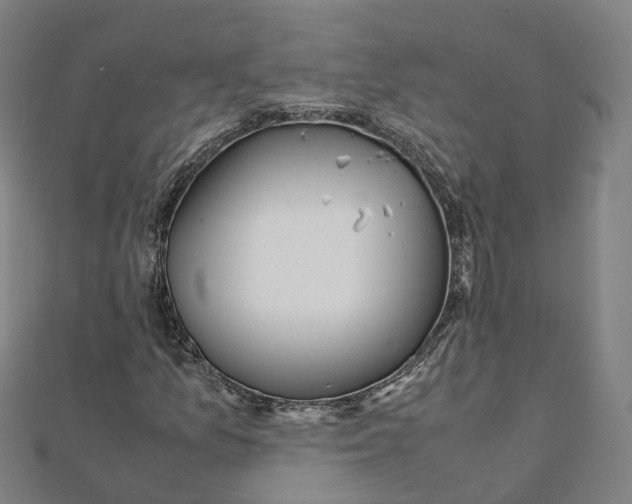 X0000111431157200908101110