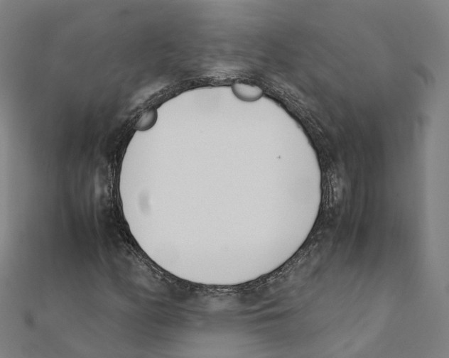 X0000111431158200908101110
