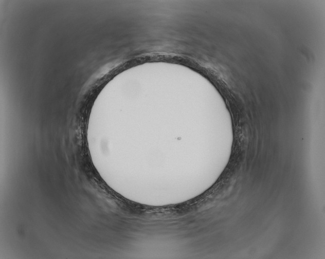 X0000111431159200908101110