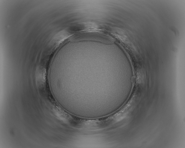 X0000111431161200908101110
