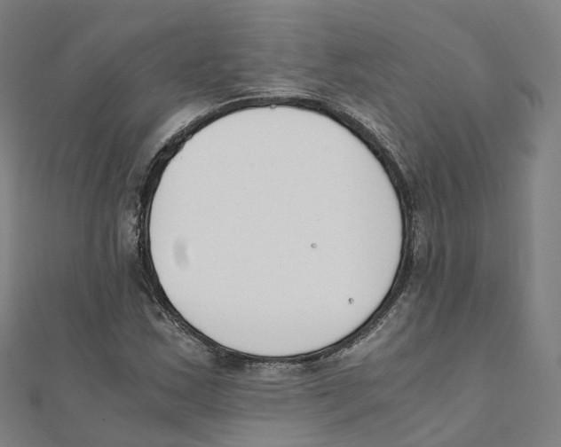X0000111431163200908101110
