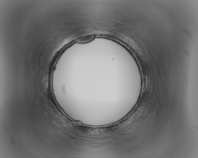 X0000111431165200908101110