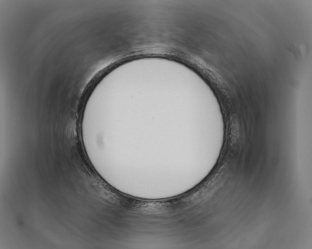 X0000111431166200908101110