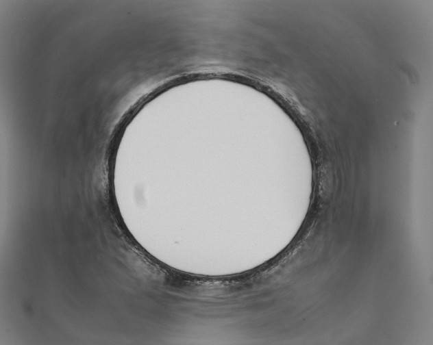 X0000111431167200908101110